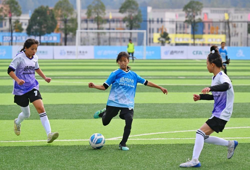 雷火电竞亚洲先驱-包含足球职业联赛决胜巅峰战，球员实力角逐争夺冠军的词条