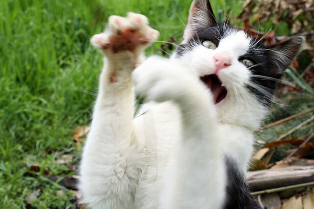 跨越海洋的骑士，英超争冠之夜，詹姆斯如何为遥远的战场注入灵魂