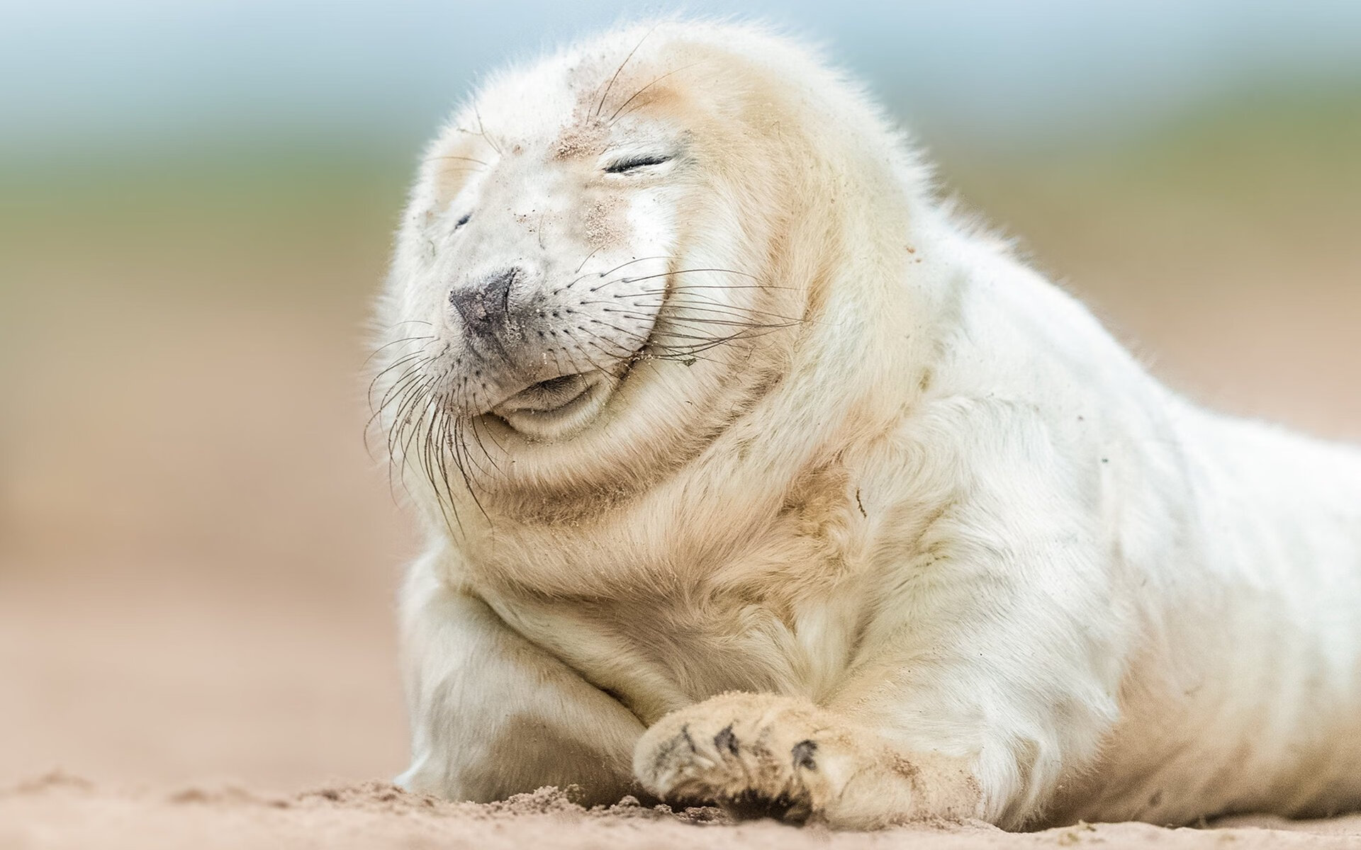 雷火电竞亚洲先驱-旧皇书新史，新王克弱旅，NBA版图下的双轨叙事