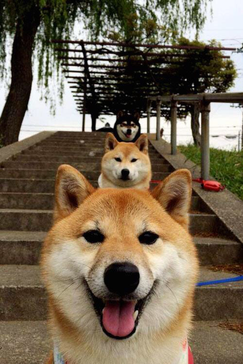 新星一剑封喉，寒流北上袭德甲，卡马文加与苏格兰力量的意外终结艺术