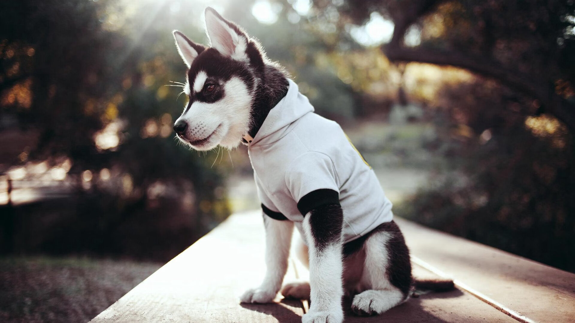 雷火电竞网址-数字竞技场，厄瓜多尔踏平韩国与福登的东决统治