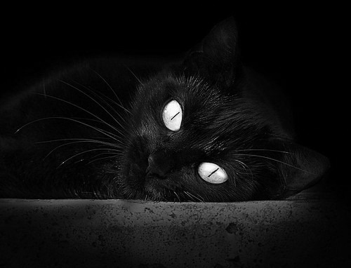 雷火电竞入驻-极致战术战胜闪耀球市，当马刺的集体智慧击溃尼克斯的明星光芒