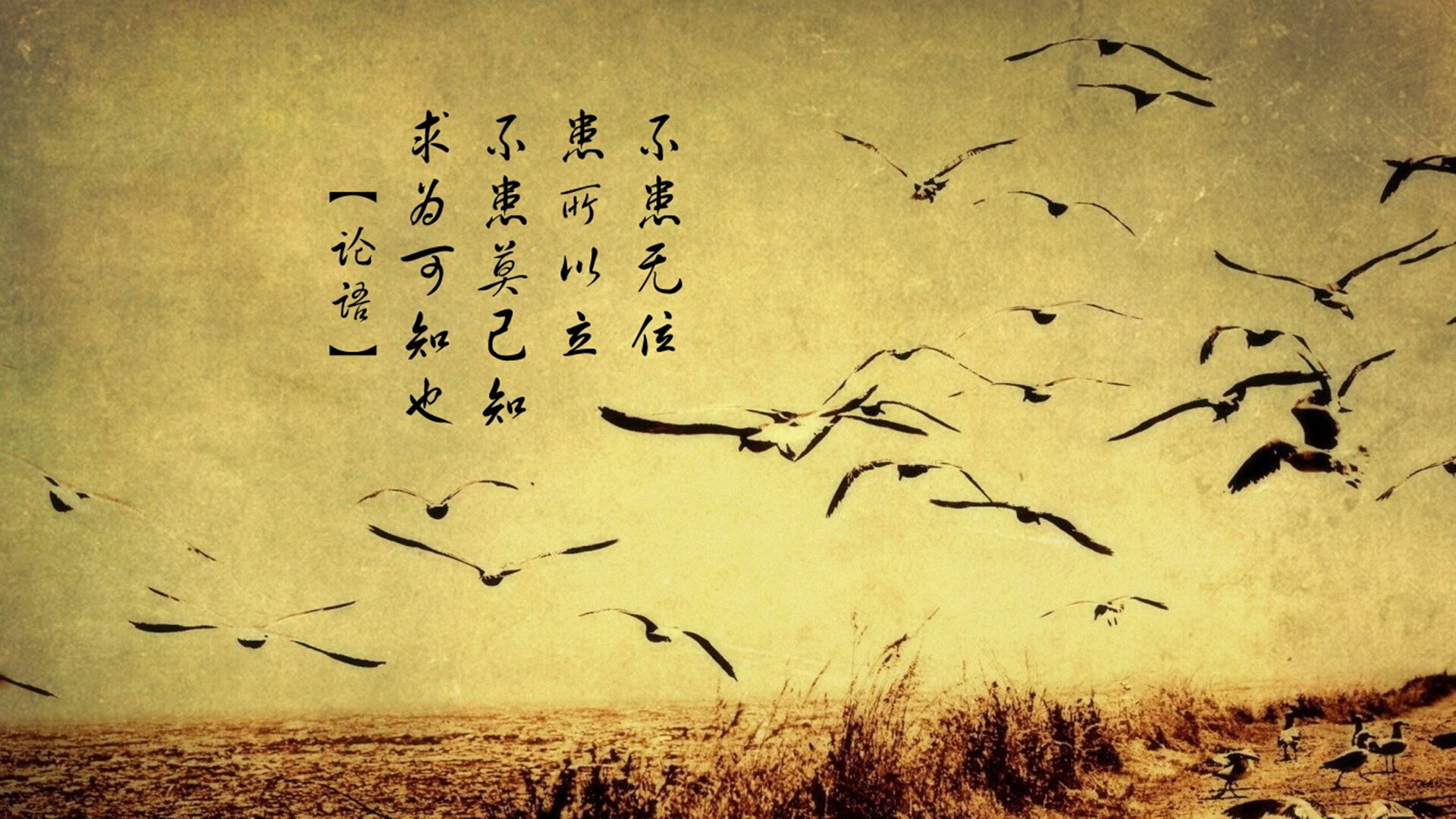 暗流与烈焰，坎特的棋盘与南美的血战