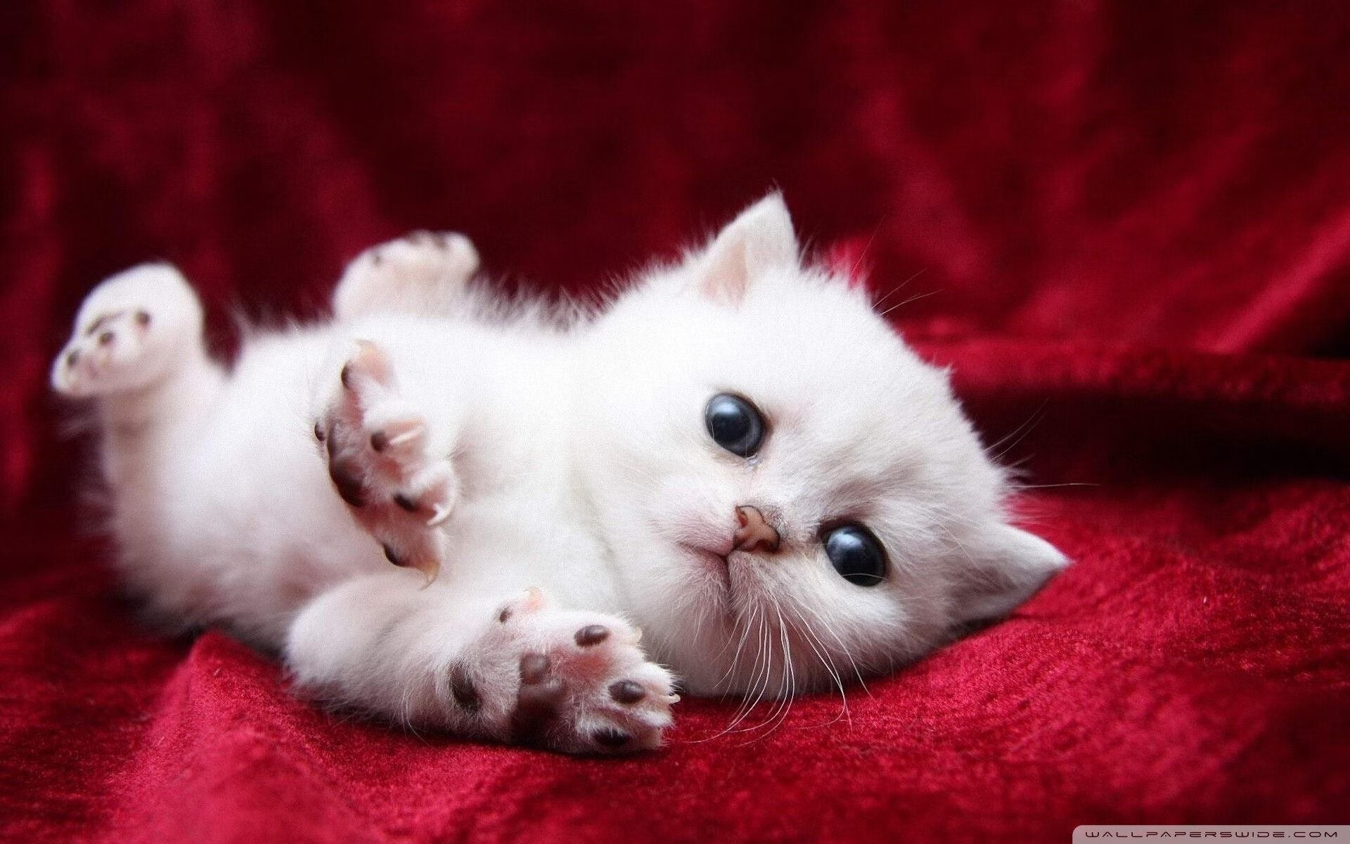 24小时前吉林终结悬念，24小时后英超定义悬念，掘金时代的时间差艺术