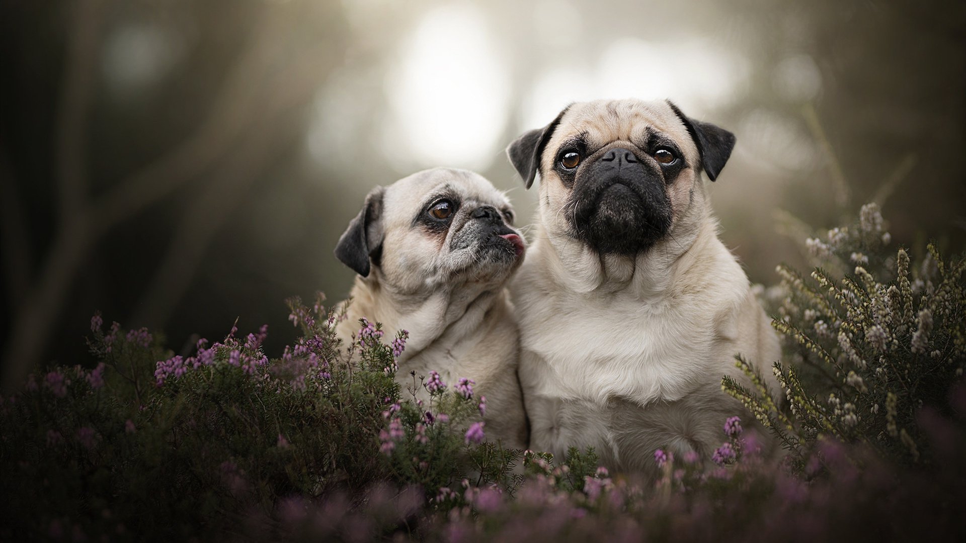 唯一性文章标题