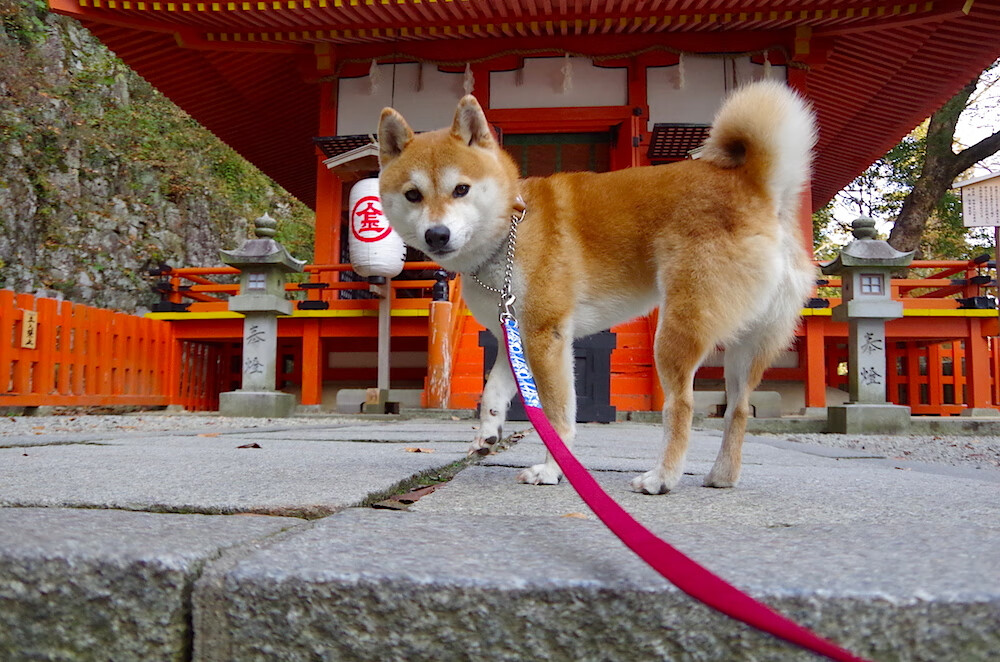 雷火电竞亚洲先驱-定义传奇的两种方式—阿森纳的团队爆发与莫德里奇的个人主宰