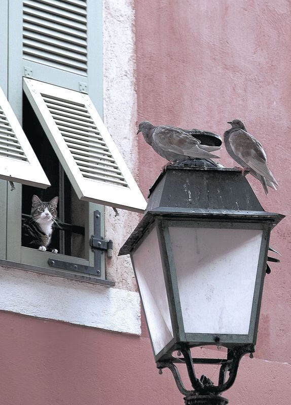 定义传奇的两种方式—阿森纳的团队爆发与莫德里奇的个人主宰