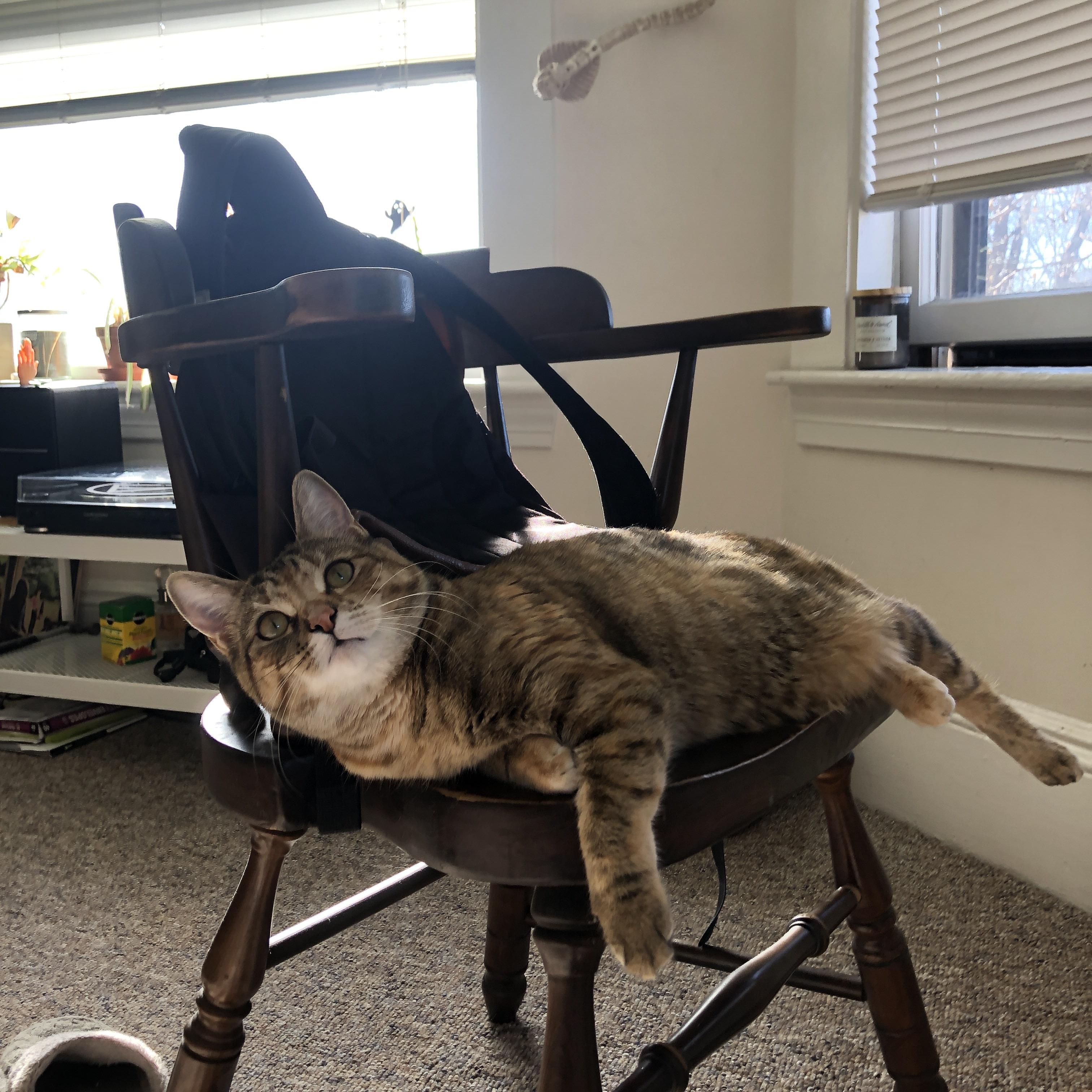 紫金王朝的试金石，当爱德华兹在大场面中接过火炬