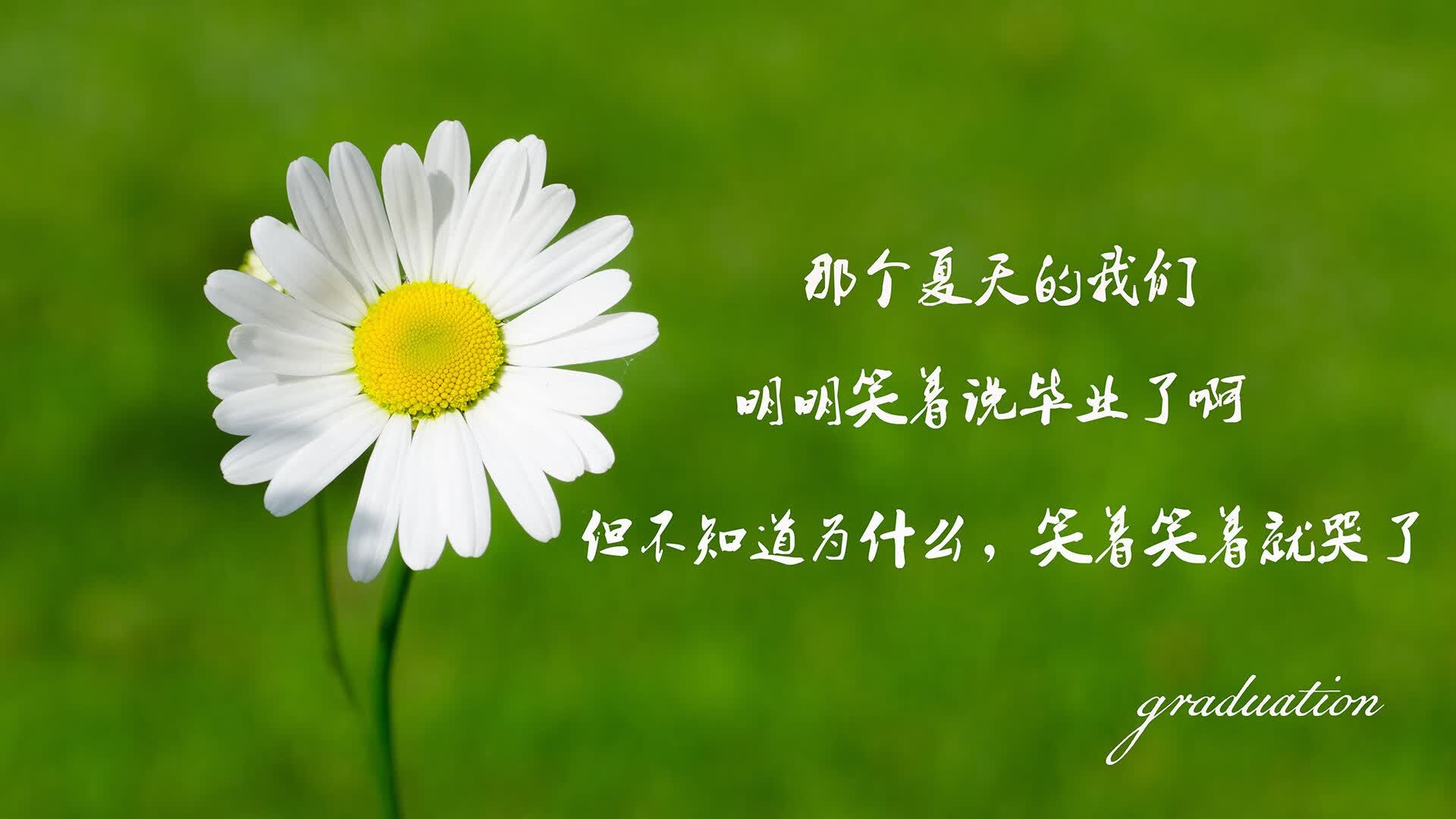 潘帕斯雄鹰折翼安第斯,2026世界杯E组焦点战,智利大胜阿根廷,库尔图瓦以门将之身统治比赛